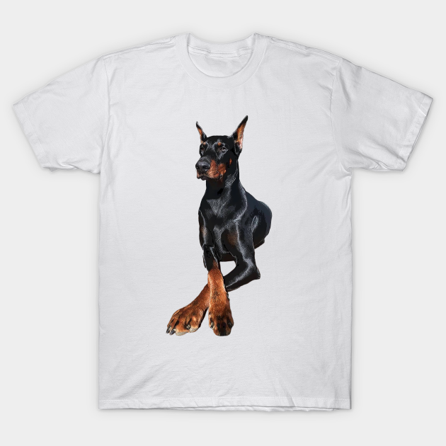 doberman in a shirt